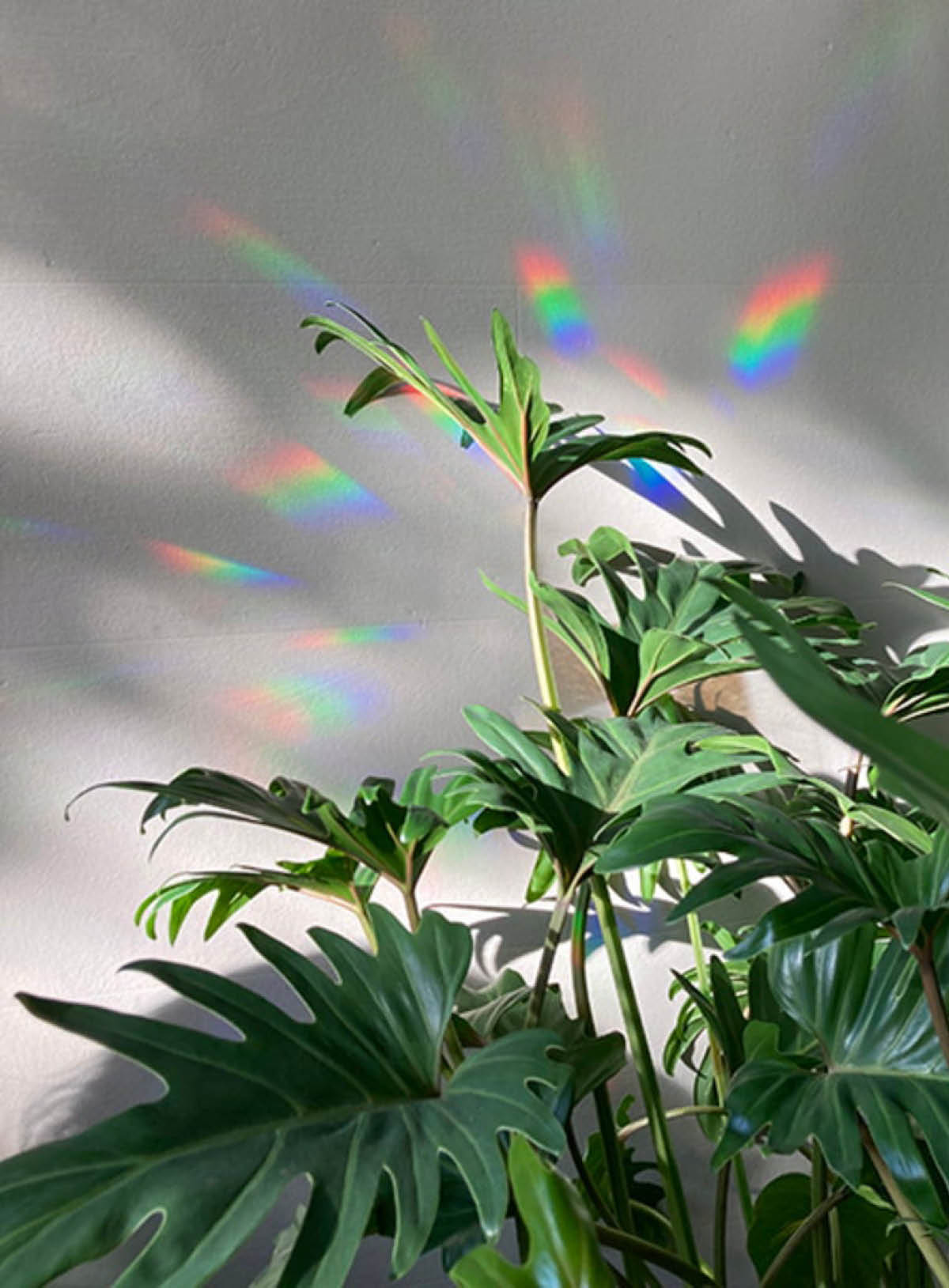 Rainbow Maker