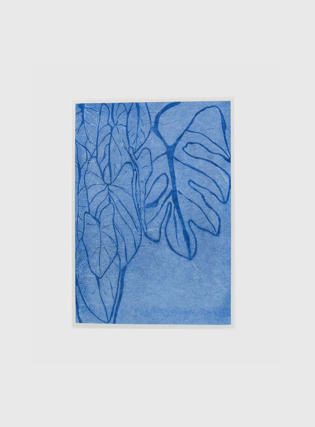 Karte "Monstera"